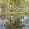 Bilder vom Weinzierlteich